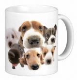 Caneca pets